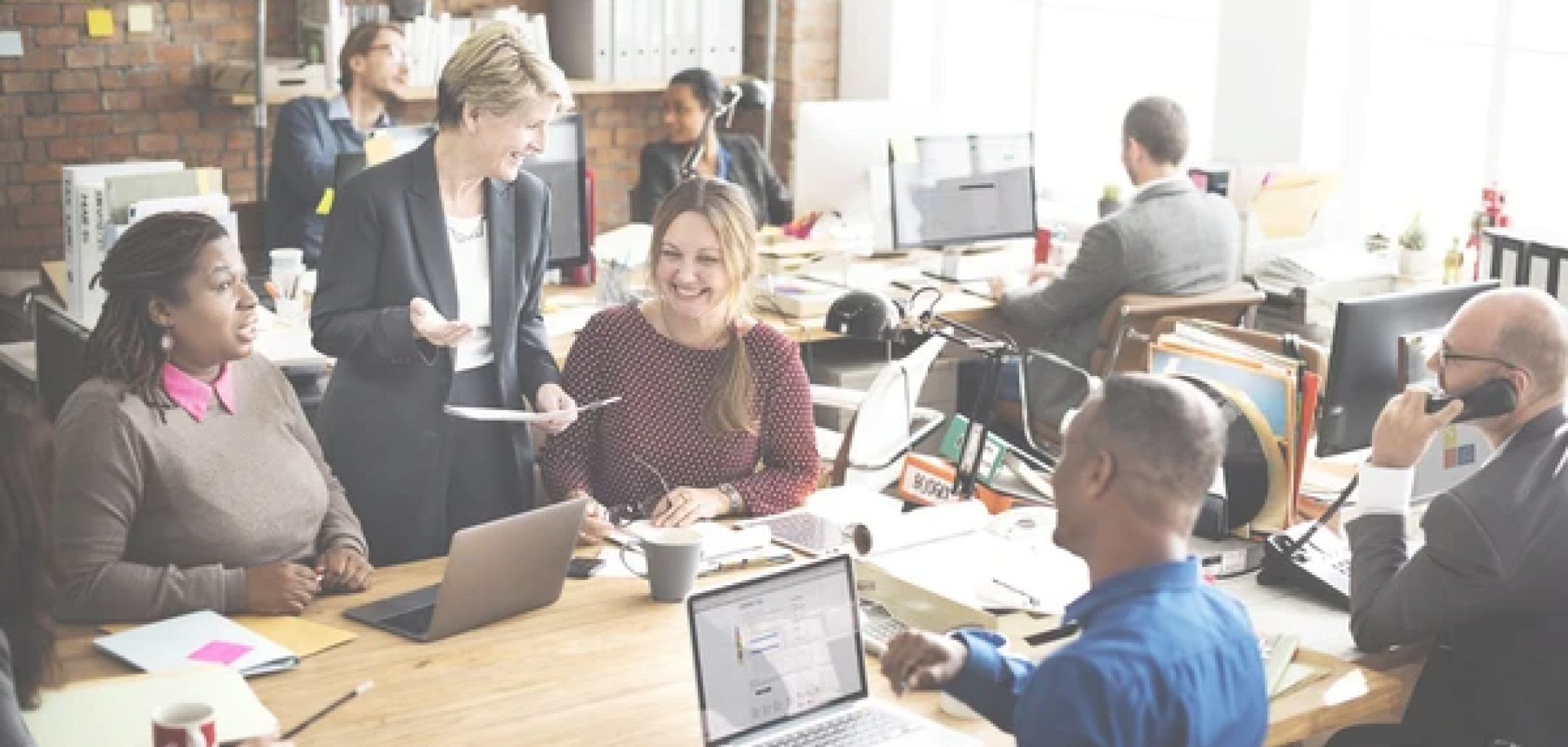 about us banner image