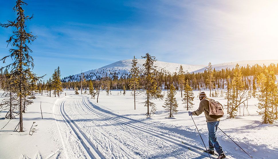 attraction list banner image